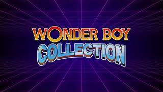 Игра Wonder Boy Collection (Nintendo Switch)