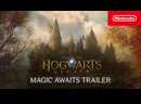 Игра Hogwarts Legacy (Nintendo Switch, русские субтитры)