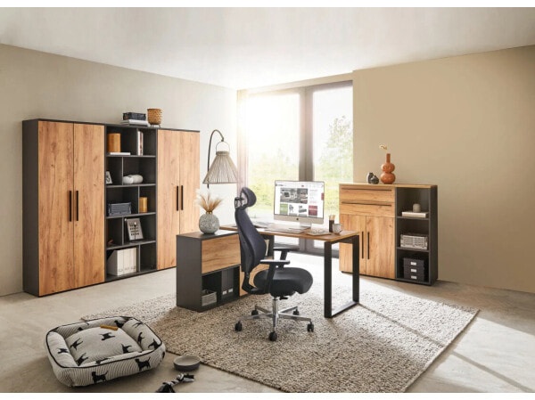 (EU) Офисное кресло Dieter Knoll PROFI OFFICE, 241552326, Серое