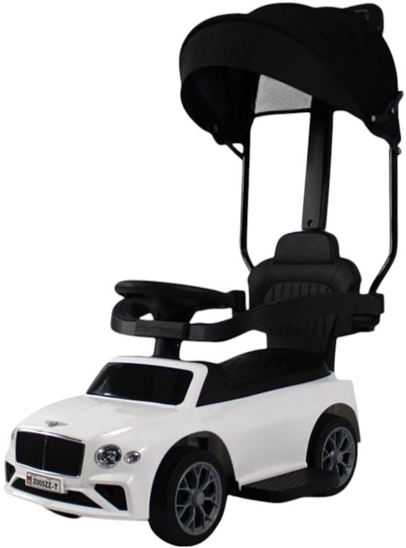 

Детский толокар RiverToys (Z005ZZ-T-WHITE) белый