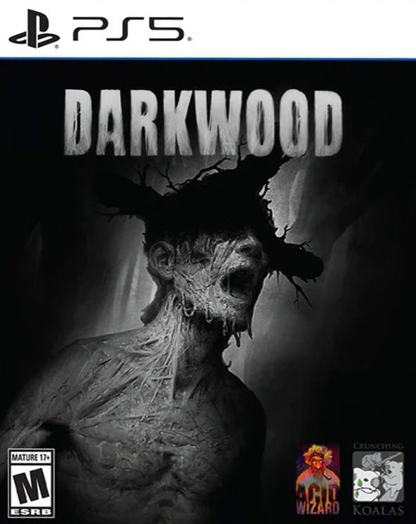 Игра Darkwood (Limited Run #187) (PS5, русская версия)