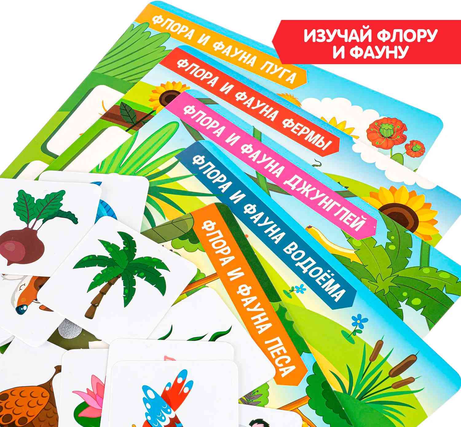(EU) Настольная игра Bondibon Теневое лото «Флора и фауна»