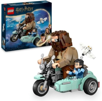 (EU) Конструктор LEGO Harry Potter Хагрид и Гарри на мотоцикле (76443)