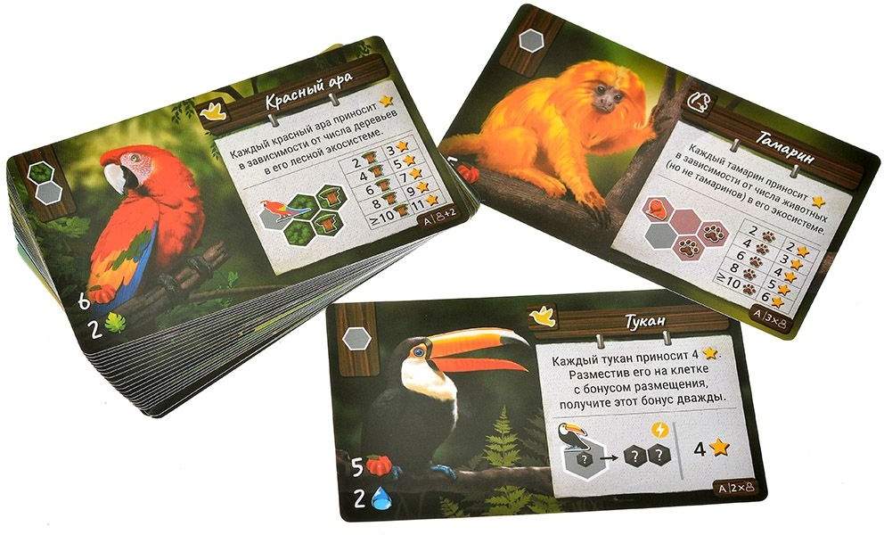 (EU) Настольная игра Hobby World Дикая природа Амазонии