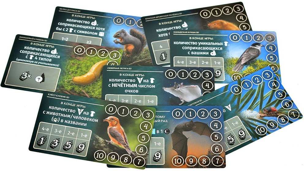 (EU) Настольная игра Hobby World Грибы и корни