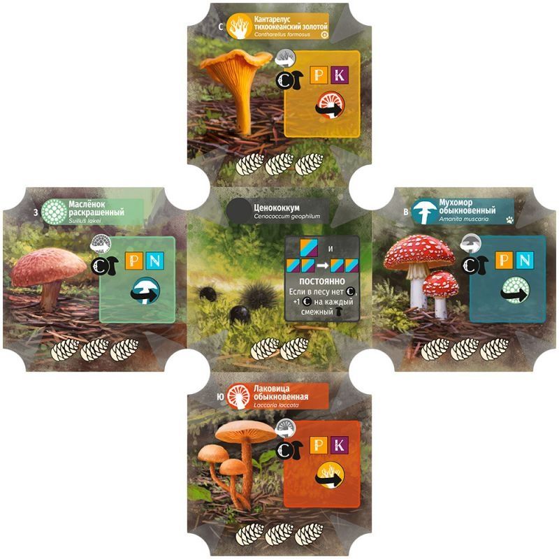 (EU) Настольная игра Hobby World Грибы и корни