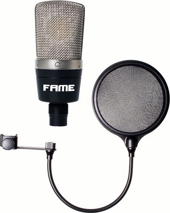 

(EU) Конденсаторный микрофон Fame CM2 + Поп-фильтр