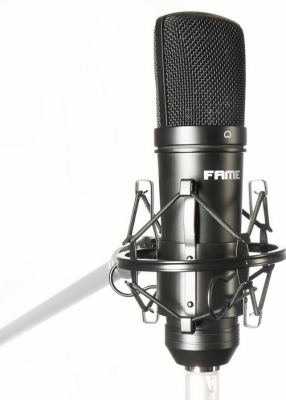 (EU) Конденсаторный микрофон Fame Studio C05, большой диафрагмой, кардиоида, 20-20 кГц
