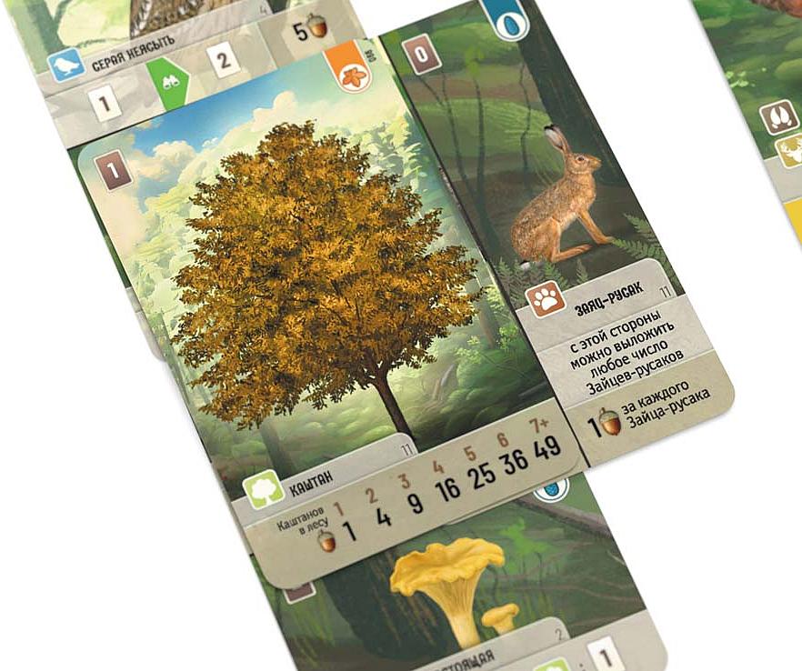 (EU) Настольная игра Стиль жизни Смешанный Лес