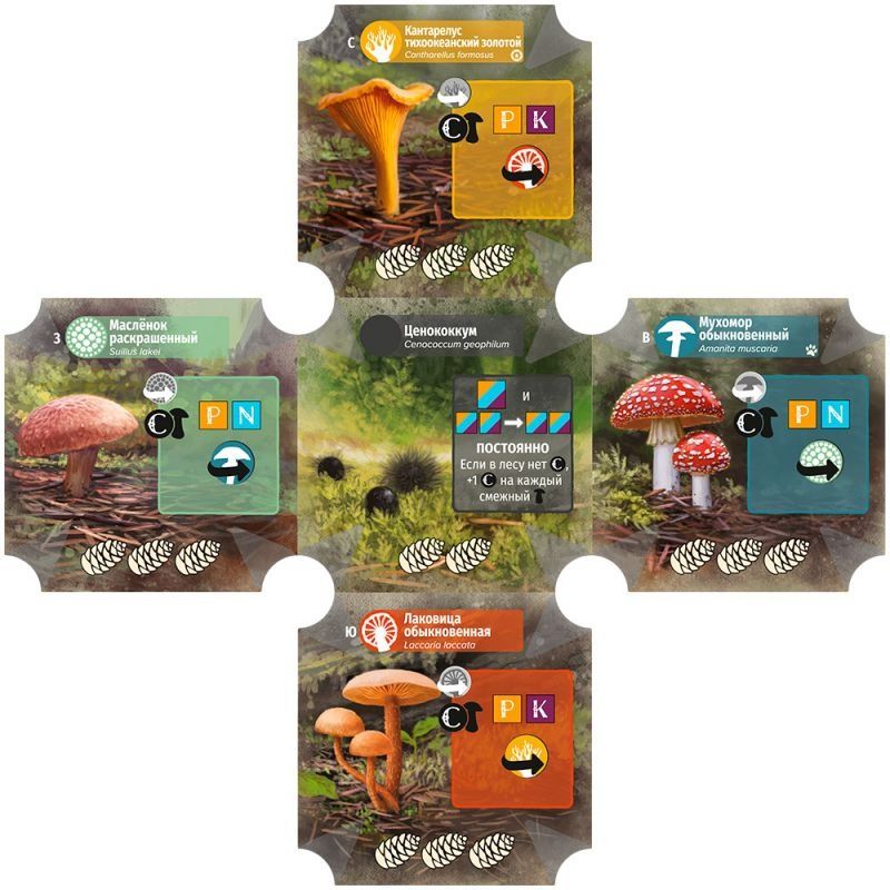 (EU) Настоьная игра Hobby World Грибы и корни: Делюкс-издание
