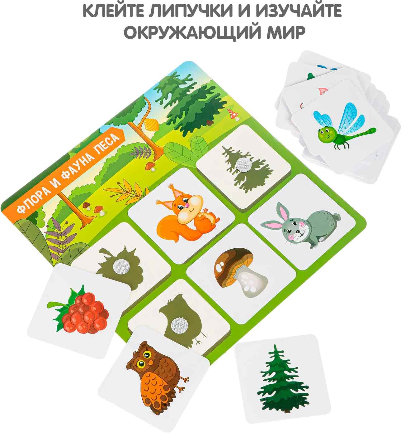 (EU) Настольная игра Bondibon Теневое лото «Флора и фауна»