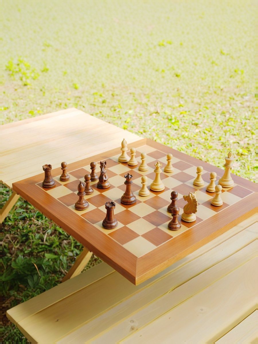 Шахматы Chessnut Pro (regular pieces) с искусственным интеллектом от Cryptoro