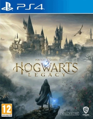 Игра Hogwarts Legacy (PS4, русские субтитры) Б/У