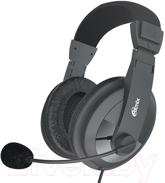 Наушники с микрофоном RITMIX RH-540M, Чёрные