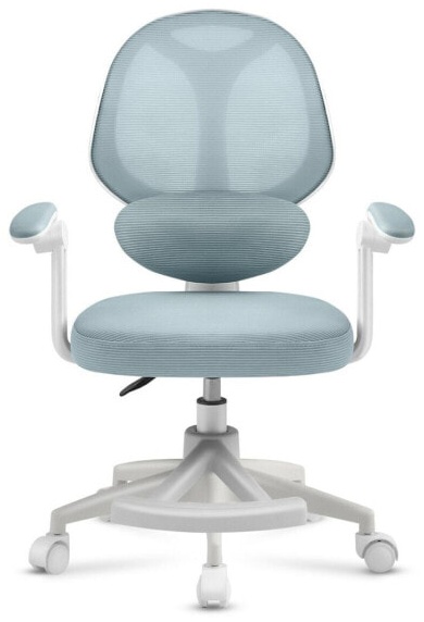 (EU) Детское кресло Mark Adler MA-JUNIOR 4.5 MINT, 277124453, Голубое