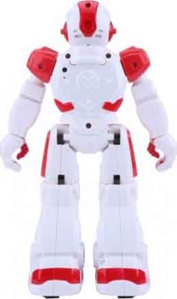 Радиоуправляемый робот Create Toys SR-822-RED Smartbot (управление пультом и жестами)
