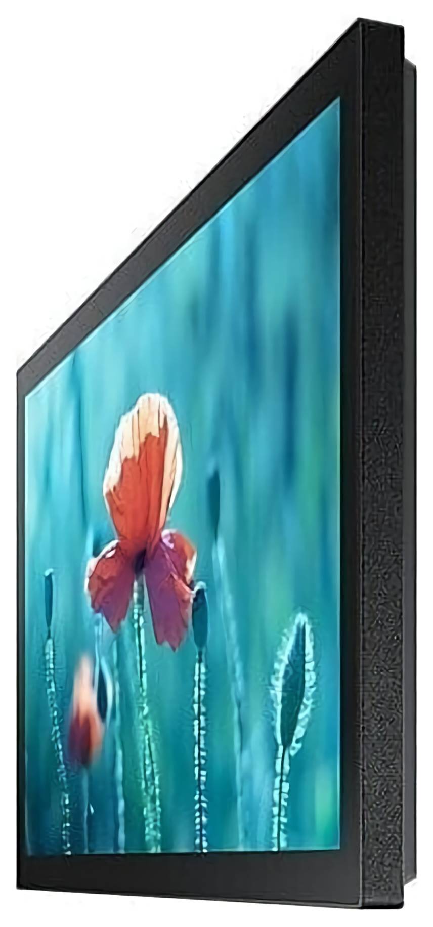 (EU) Профессиональный дисплей Samsung QB13R-T (сенсорный 13", Full HD, Tizen OS) , Чёрный