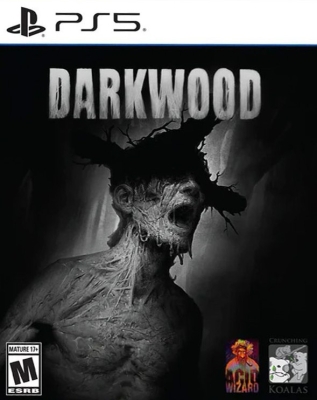 Игра Darkwood (Limited Run #187) (PS5, русская версия)