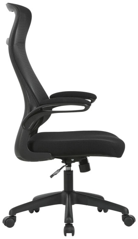(EU) Офисное кресло Carryhome RAUL, 241552371, Чёрное