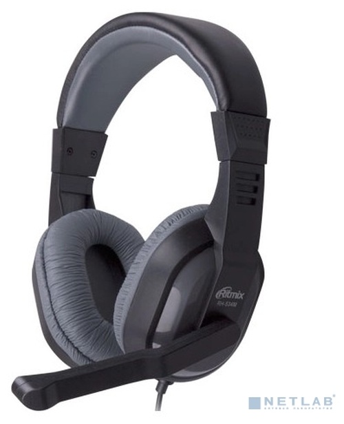 Наушники с микрофоном RITMIX RH-534M, Серые