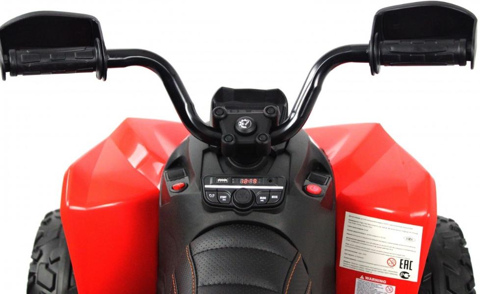 Детский электроквадроцикл RiverToys BRP Can-Am Renegade (Y333YY) красный