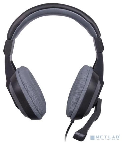 Наушники с микрофоном RITMIX RH-534M, Серые
