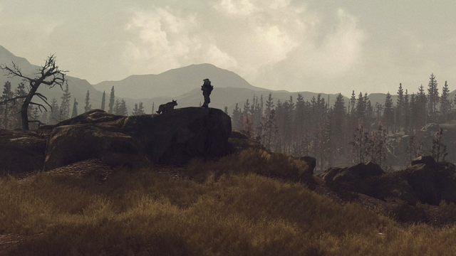 Ремастер Fallout 3 в работе — Bethesda нацелена на уровень Oblivion Remastered