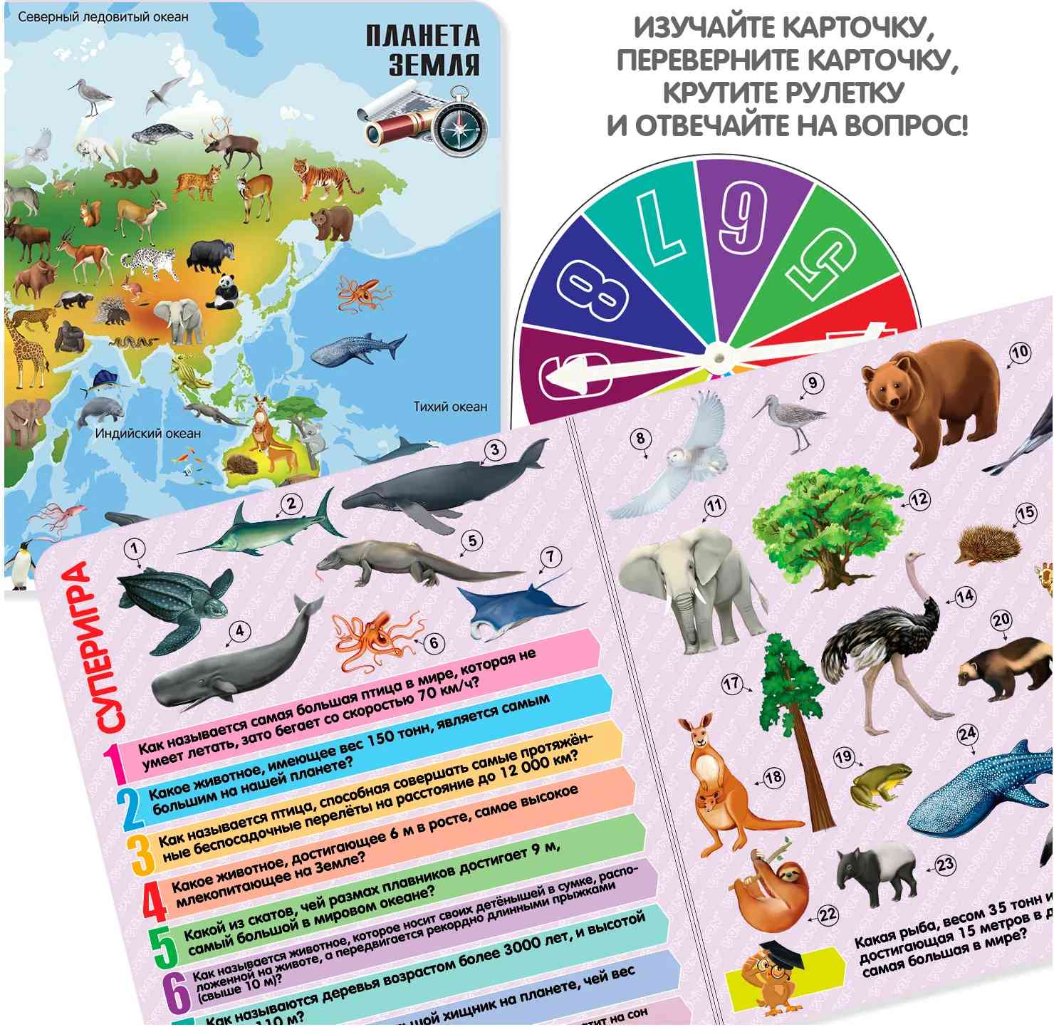 (EU) Настольная игра Bondibon Игра-викторина Умная Сова «Увлекательный мир животных и природы»
