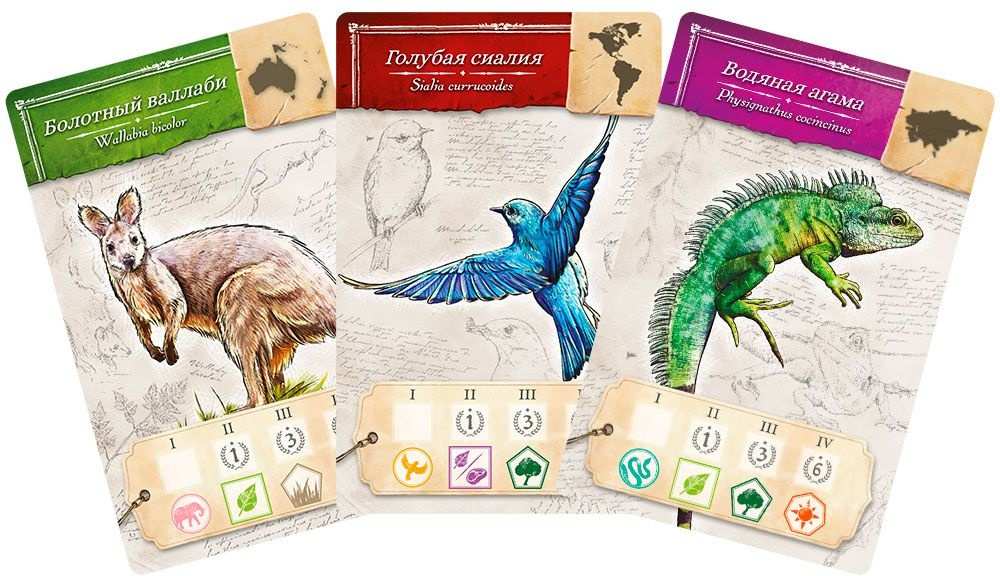 (EU) Настоьная игра Hobby World Энциклопедия