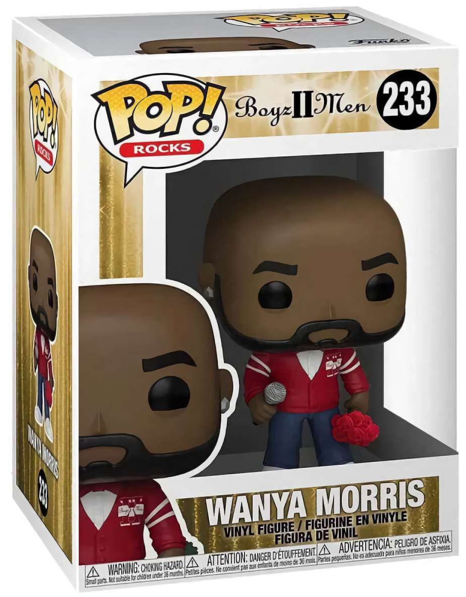 (EU) Фигурка Funko POP! Rocks: Wanya Morris (233)