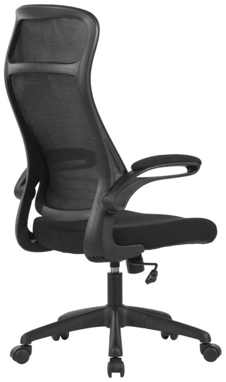 (EU) Офисное кресло Carryhome RAUL, 241552371, Чёрное