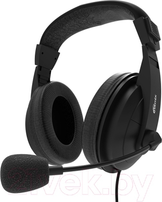 Наушники с микрофоном RITMIX RH-540M, Чёрные