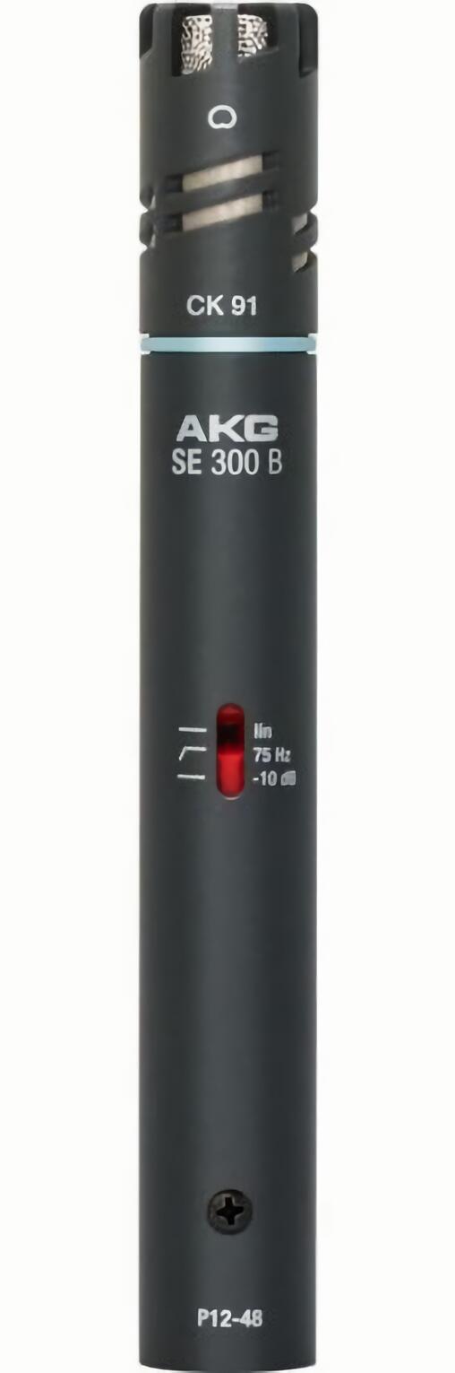 (EU) Конденсаторный микрофон AKG C391B, кардиоидный