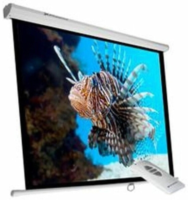 (EU) Аксессуар для проектора Phoenix Technologies Elec-Screen240 135" экран электрический рулонный , Белый