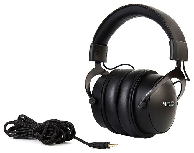 Наушники Music Public Kingdom HP500