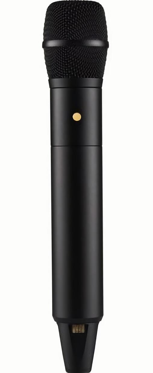 

(EU) Беспроводной микрофон RDE Interview PRO, всенаправленный, 32-бит запись