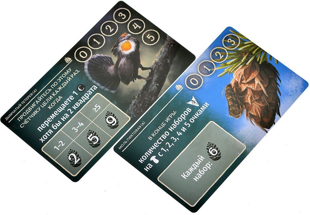 (EU) Настольная игра Hobby World Грибы и корни: Шёпот леса (доп)