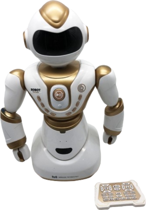 Радиоуправляемый робот Meizhi MZ-2850 Pookaa