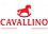 Логотип компании 'Cavallino'