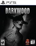 Игра Darkwood (Limited Run #187) (PS5, русская версия)