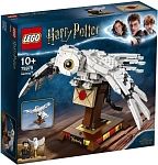 (EU) Конструктор LEGO Harry Potter Сова Букля (75979)