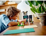(EU) Конструктор LEGO Minecraft Дом Панды (21245)