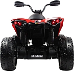 Детский электроквадроцикл RiverToys BRP Can-Am Renegade (Y333YY) красный
