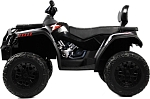Детский электроквадроцикл RiverToys T001TT 4WD черный