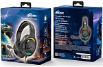 Наушники с микрофоном RITMIX RH-615M, Чёрные