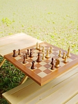 Шахматы Chessnut Pro (regular pieces) с искусственным интеллектом от Cryptoro