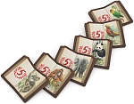 (EU) Настольная игра Стиль жизни По стопам Дарвина