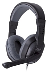 Наушники с микрофоном RITMIX RH-534M, Серые