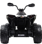 Детский электроквадроцикл RiverToys BRP Can-Am Renegade (Y333YY) белый