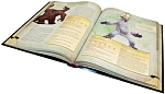 (EU) Настольная игра Hobby World Dungeons & Dragons. Энциклопедия чудовищ (доп)